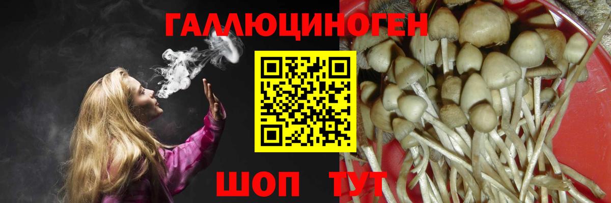 Псилоцибиновые грибы Psilocybe  Вход с VPN  Псилоцибиновые грибы мухоморы  Ессентуки 